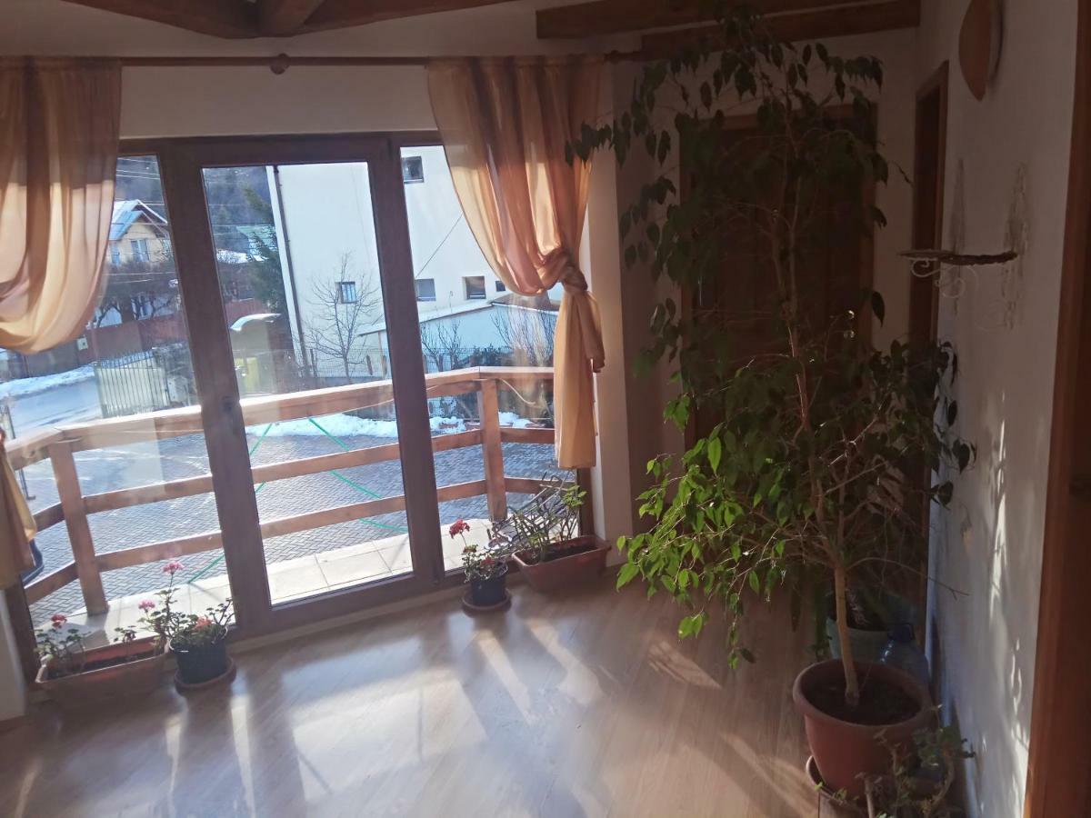 Casa Alexandru Hotel Азуга Екстериор снимка