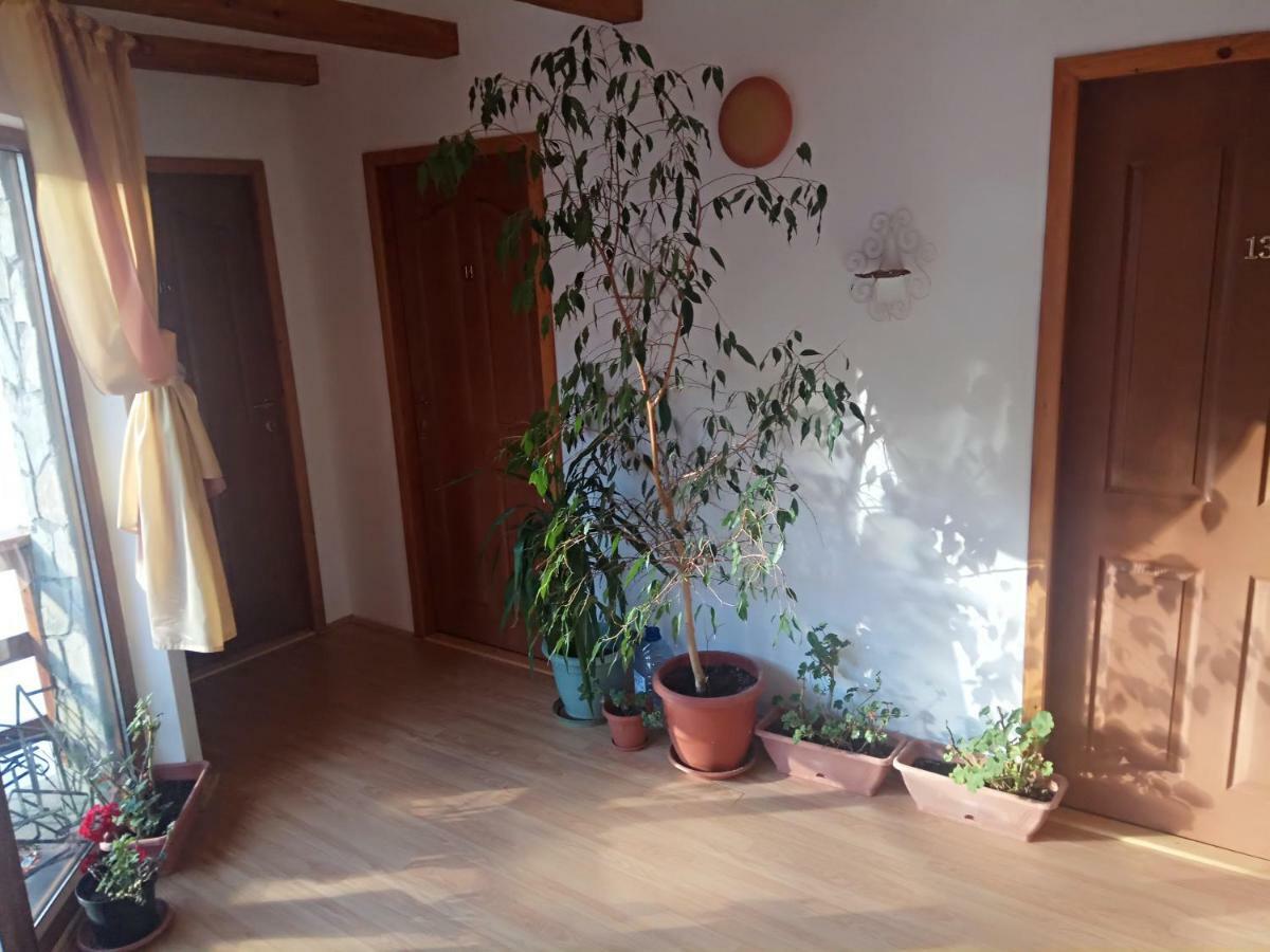 Casa Alexandru Hotel Азуга Екстериор снимка