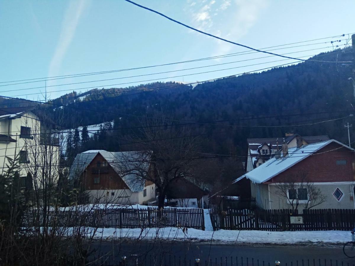 Casa Alexandru Hotel Азуга Екстериор снимка