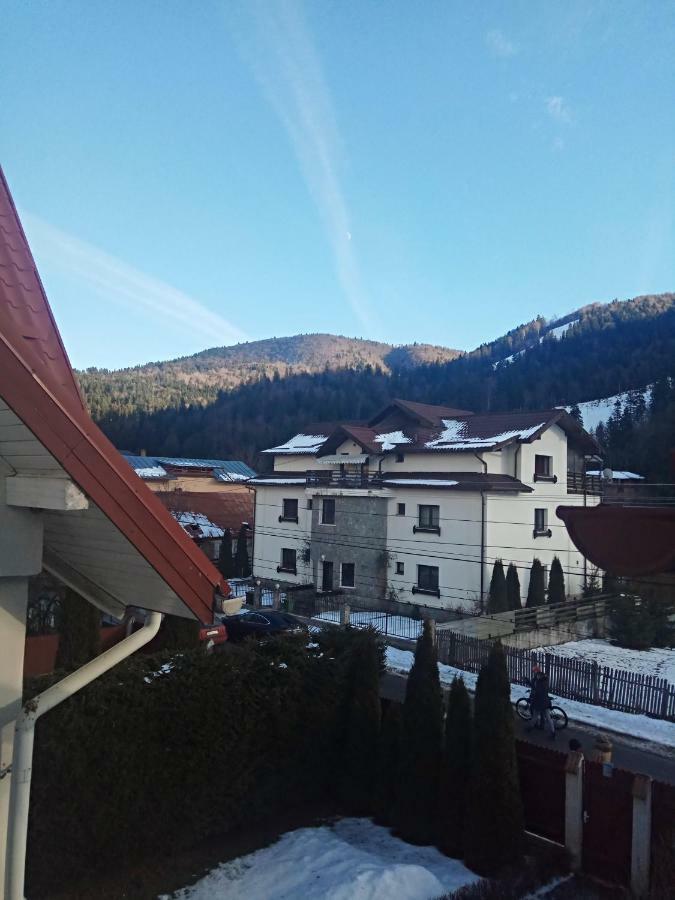 Casa Alexandru Hotel Азуга Екстериор снимка