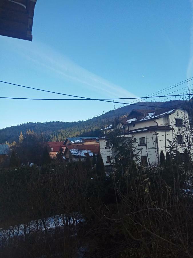 Casa Alexandru Hotel Азуга Екстериор снимка